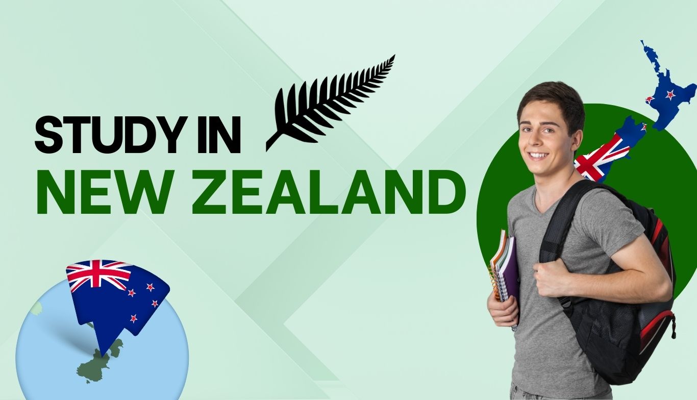 study in newzealand study abroad consultants