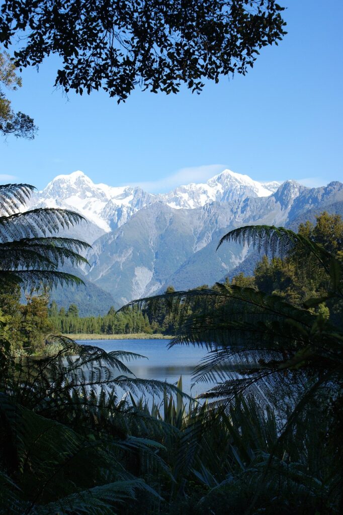 jetty viewpoint, lake matheson, new zealand, new zealand, new zealand, new zealand, new zealand, new zealand